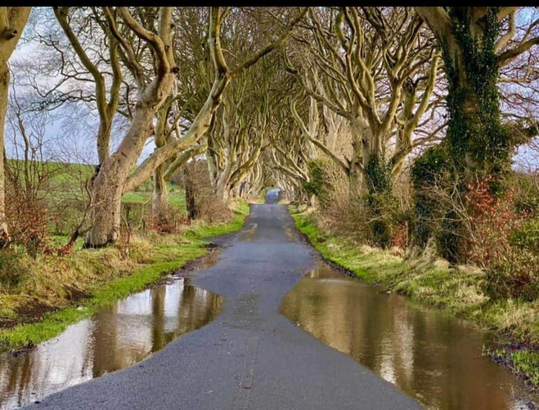 Divine Cottage Ballycastle Εξωτερικό φωτογραφία