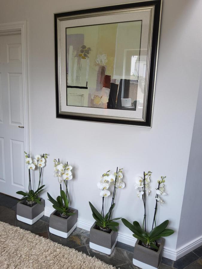 Divine Cottage Ballycastle Εξωτερικό φωτογραφία